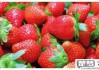 草莓吃多了会怎么样？过量食用草莓的健康风险与建议
