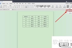 wps表格怎么排序？详细操作步骤与技巧分享