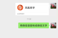 苹果手机微信语音转文字发送