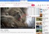 怎么下载网页上的视频？免费工具及方法全攻略