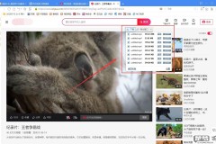 怎么下载网页上的视频?免费工具及方法全攻略