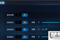 王者荣耀语音怎么设置？详细步骤与常见问题解决