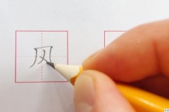 风的笔画顺序怎么写?详细步骤与视频教程全解析