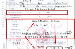 档案接收单位怎么填?填写规范与错误处理全指南