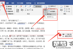 word批量删除批注