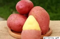 红皮土豆怎么做好吃？分享6种经典做法及营养解析