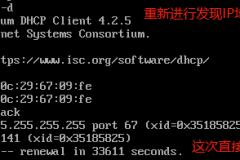 dhcp开启了还是显示未开启