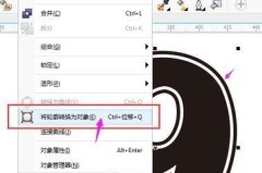 cdr如何提取图片中的图案