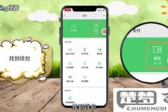 微信零钱密码怎么设置？详细步骤与常见问题解答