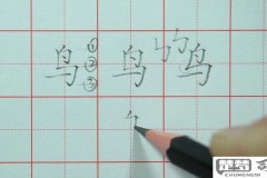 鸟的笔画顺序怎么写？详细步骤与图解教程