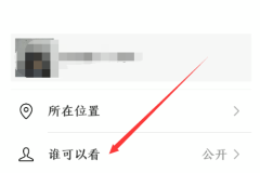 朋友圈权限怎么设置?详细步骤与技巧全解析