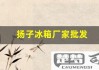 扬子冰箱质量怎么样？全面解析扬子冰箱的性能与售后服务