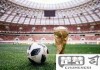 中国为什么不申办世界杯？深入分析原因与未来可能性