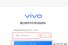 vivo激活密码忘了