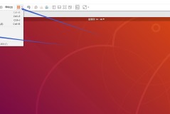 ubuntu安装软件到指定目录