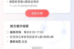 u盾密码忘记了怎么办？详细解决步骤与预防措施