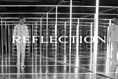 reflection的用法