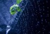下雨的声音怎么形容？探索雨声的多种表达方式