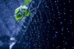 下雨的声音怎么形容？探索雨声的多种表达方式