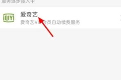 爱奇艺关闭自动续费步骤