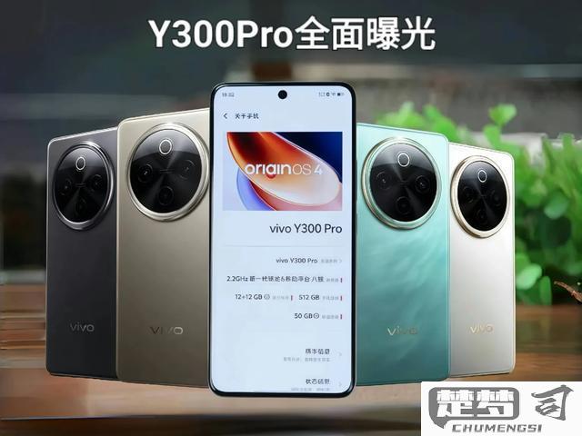 vivoy300pro没有nfc功能吗