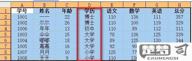 表格汇总分类统计