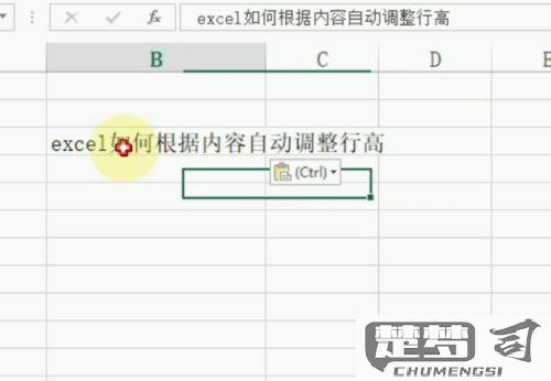 excel行高随内容自动调整