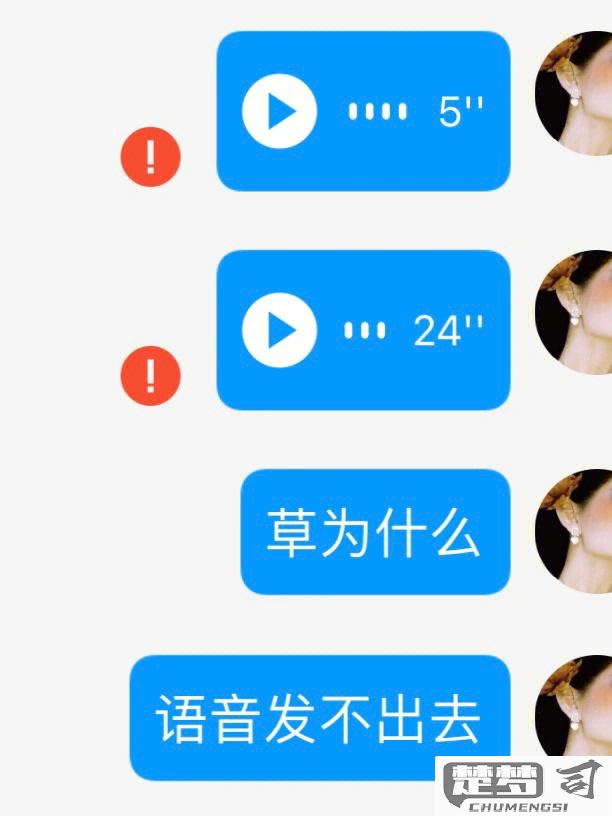 自己发的语音没有声音