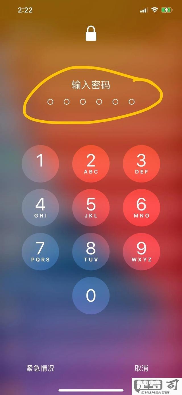 忘记苹果锁屏密码秒解