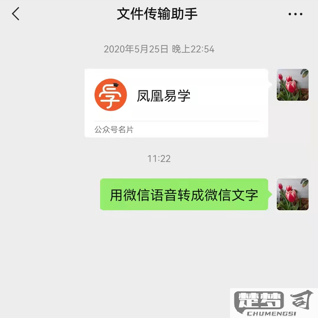 苹果手机微信语音转文字发送