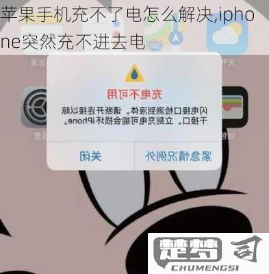 iphone手机充不进去电