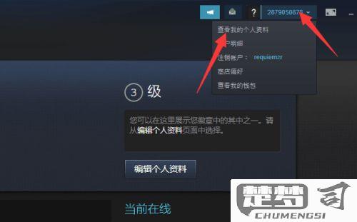 steam17位数字id在哪看