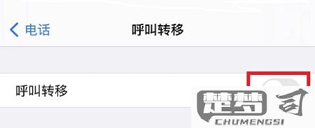 为什么苹果手机呼叫转移设置不了