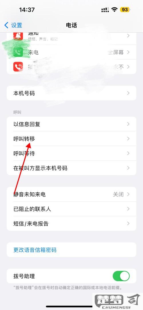 苹果手机在哪里设置呼叫转移