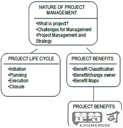 项目管理project