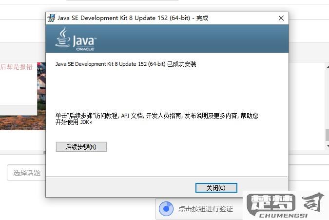 java安装当前页面脚本错误