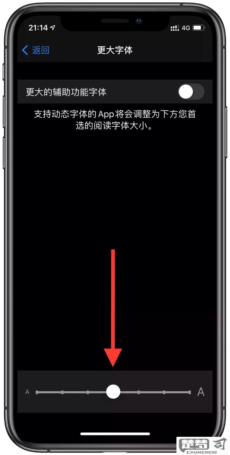 iphone调整字体大小