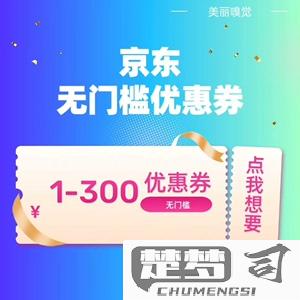 平台无门槛优惠券300元