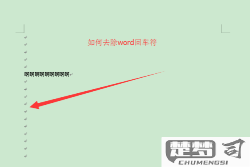 word如何去除回车符和换行符