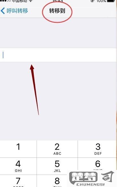 苹果手机的呼叫转移在哪里设置