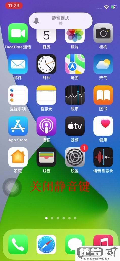 苹果手机怎样关掉静音模式