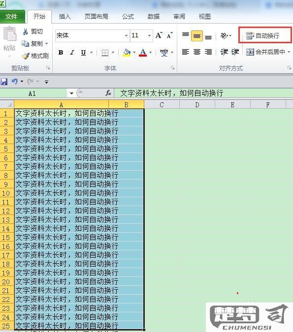 怎样自动换行在excel文档中