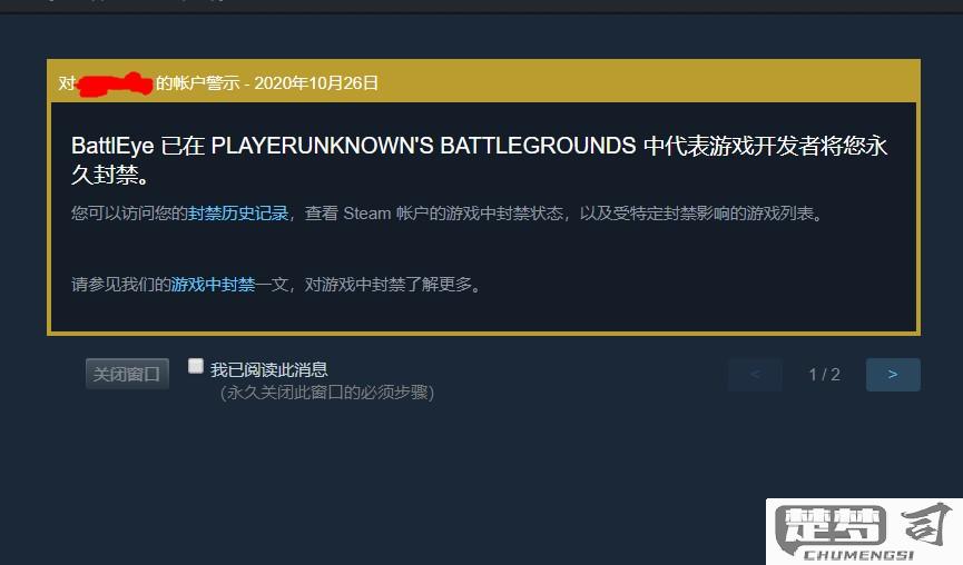 steam被盗号卖了一堆东西