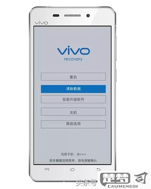 vivo手机账户原始密码是多少