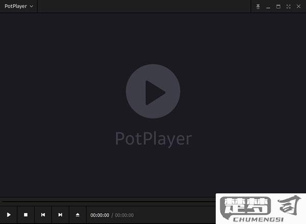 potplayer中文免费版