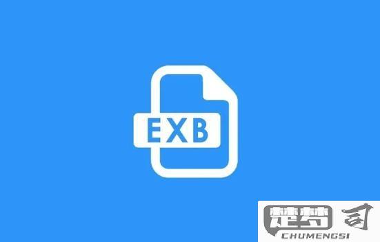 exb文件用什么软件打开