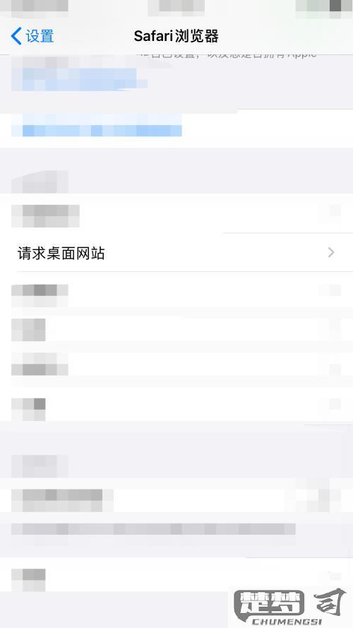 iphone浏览器设置