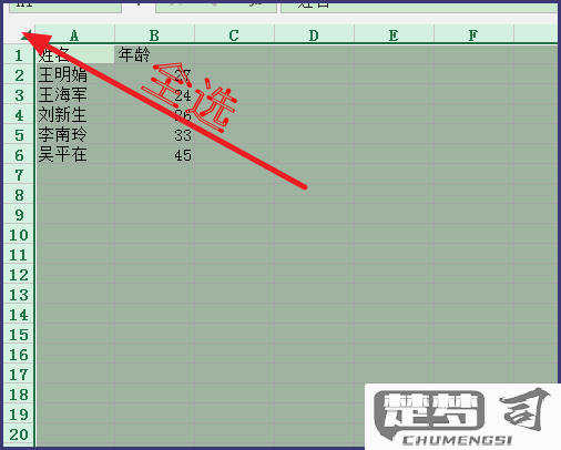 excel复制工作表的步骤