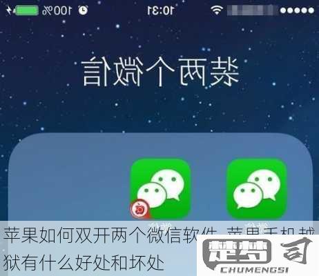 苹果双卡能开2个微信吗