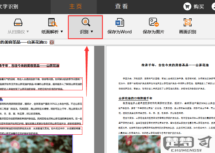 如何提取图片文字变成电子版